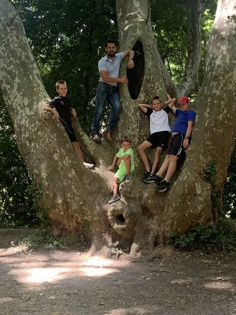 Famille Delorme Élagage, entreprise familiale à Amiens