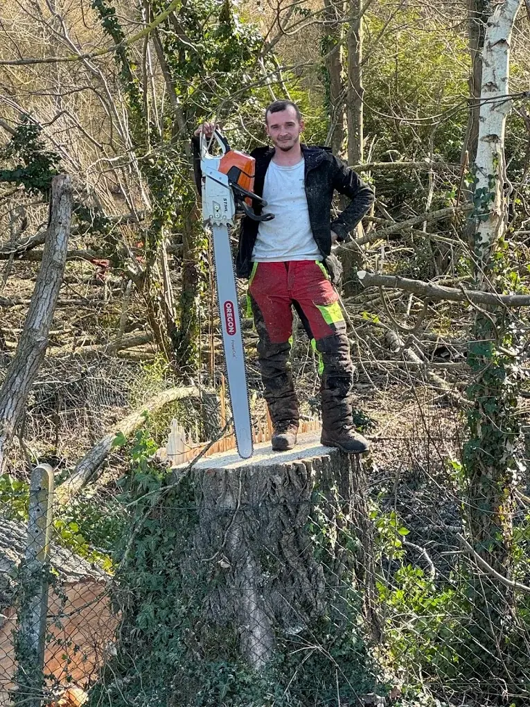 Expertise élagage Albert (80300)