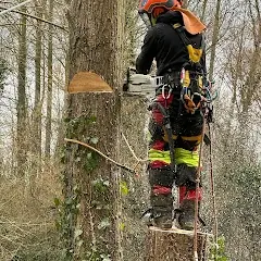 Élagueur Delorme en intervention, équipement de sécurité complet