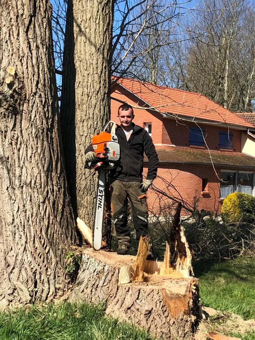 Abattage d'un tronc à double flèche dans un jardin de Corbie par Delorme Élagage