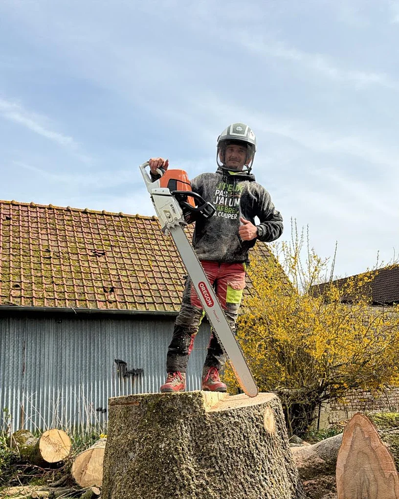 Abattage d'un arbre fragilisé près d'une ferme à Saint-Fuscien par Delorme Élagage