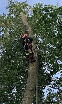Élagage sécurisé Saint-Leu Amiens Delorme