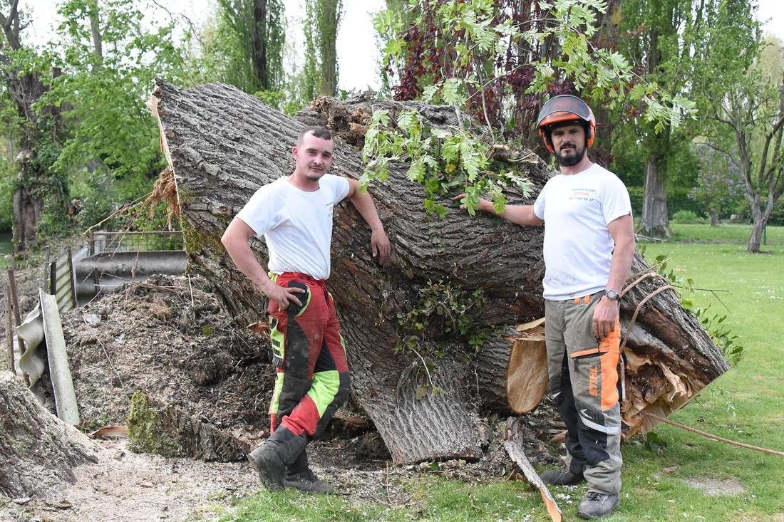 Zone d'intervention de Delorme Élagage à Picquigny, dans la vallée de la Somme